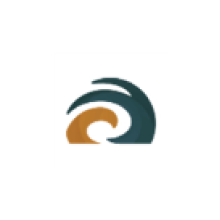 Fstorm软件